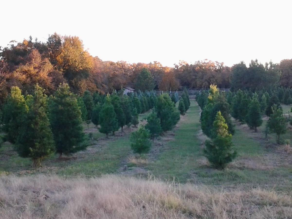 Kelumac Christmas Tree Farm B&B Bryan Exterior foto